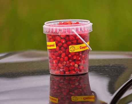 Статья психолога