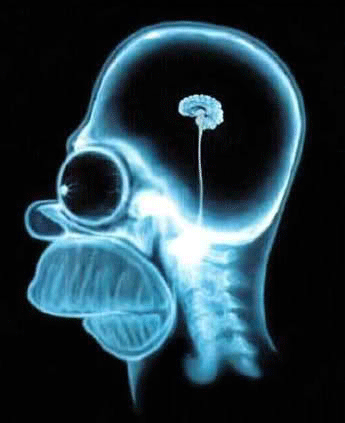 Не прекращайте учиться и развиваться